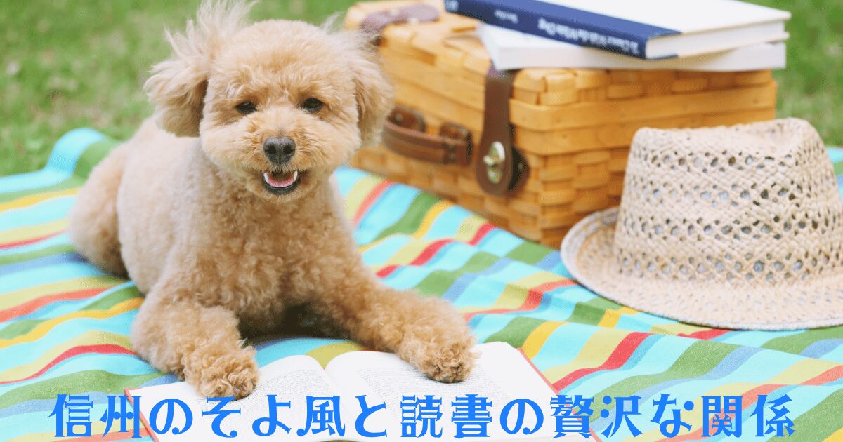 信州のそよ風を感じる草の上。カラフルなピクニックシートで、愛らしいプードルが本を読む贅沢な読書風景、籐のトランクと麦わら帽子がアクセント。