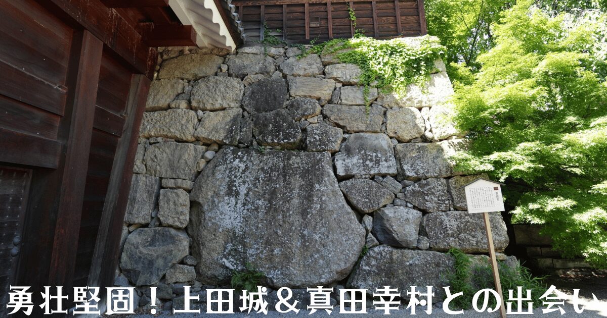 「勇壮堅固!上田城&真田幸村との出会い」という見出しのアイキャッチ画像。上田城の真田石と大手門が映り、頑丈な石垣と伝統的な木造建築が緑の木々とともに背景に広がるシーン。©️photoAC/写真素材のタイトルは「上田城址公園 石垣の風景」。
